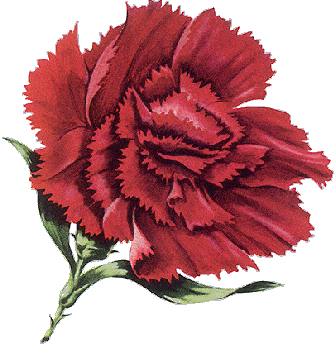 A Crimson Talender